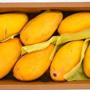 MangoCompanies