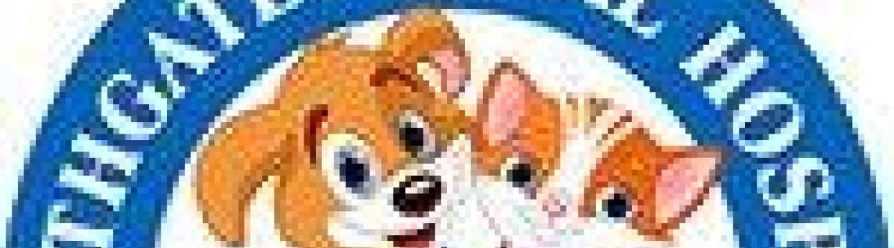 northgateanimal